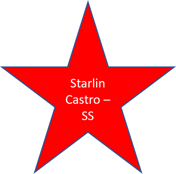 2011 Starlin Castro