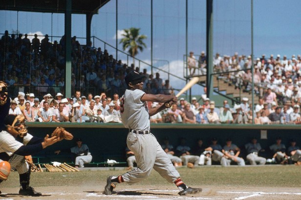 Minnie Minoso 8