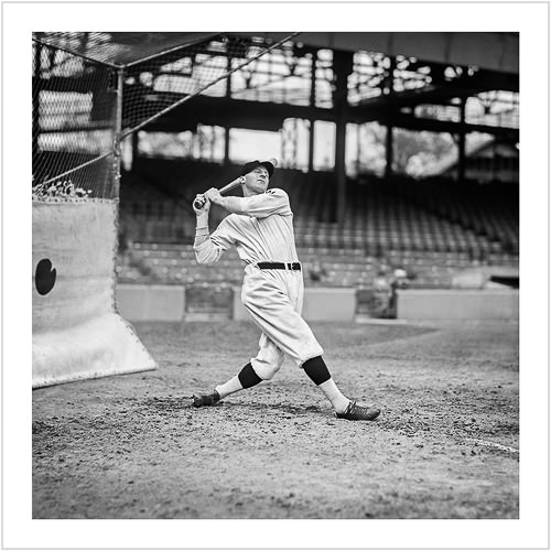 Goose Goslin 3