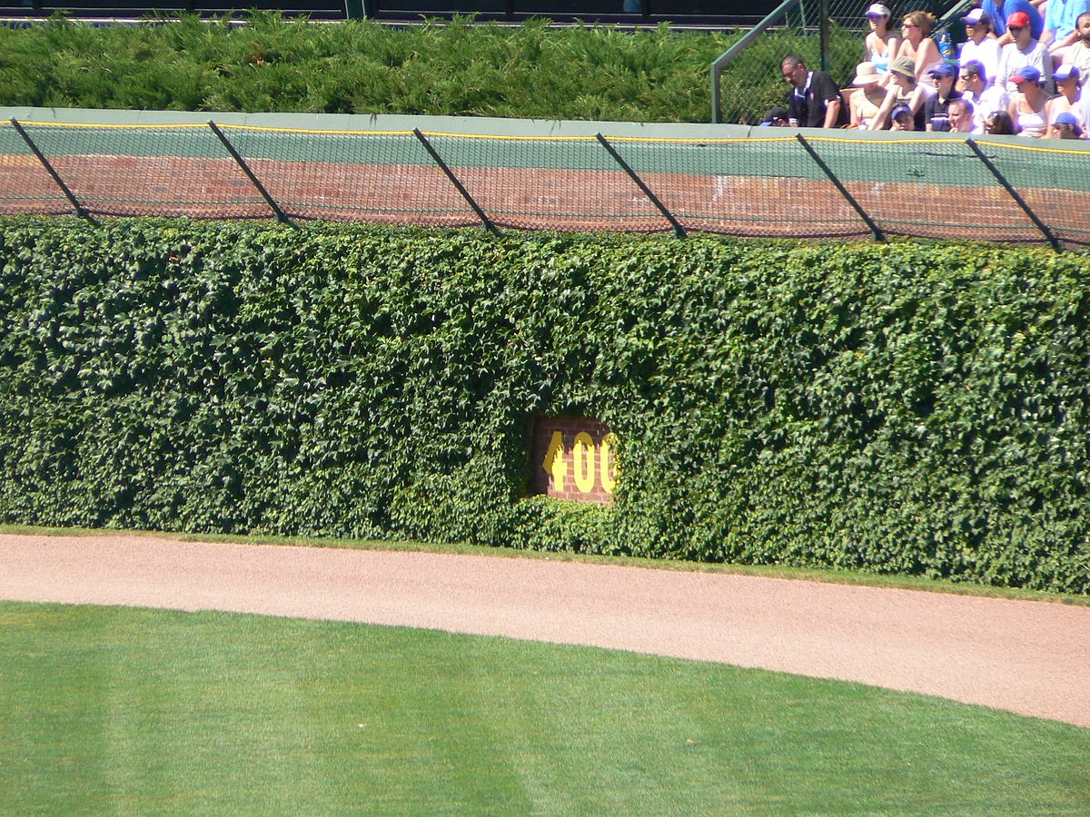 Wrigley Field Ivy
